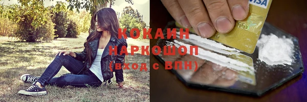эйфоретик Арсеньев
